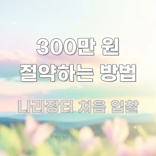 300만 원 절약하는 방법 흐름을 잡아주는 정보 전달형 표지 이미지 - 독자 이해를 위한 이미지