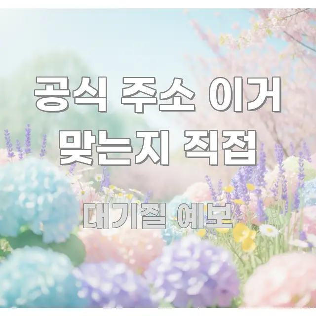 공식 주소 이거 맞는지 직접 이해하기 쉬운 깔끔한 인포그래픽 표지 - 독자 이해를 위한 이미지