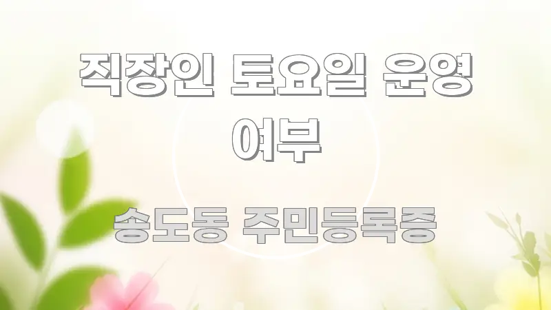 직장인 토요일 운영 여부 흐름을 잡아주는 읽기 좋은 정보 카드 - 글 흐름을 돕는 시각 자료