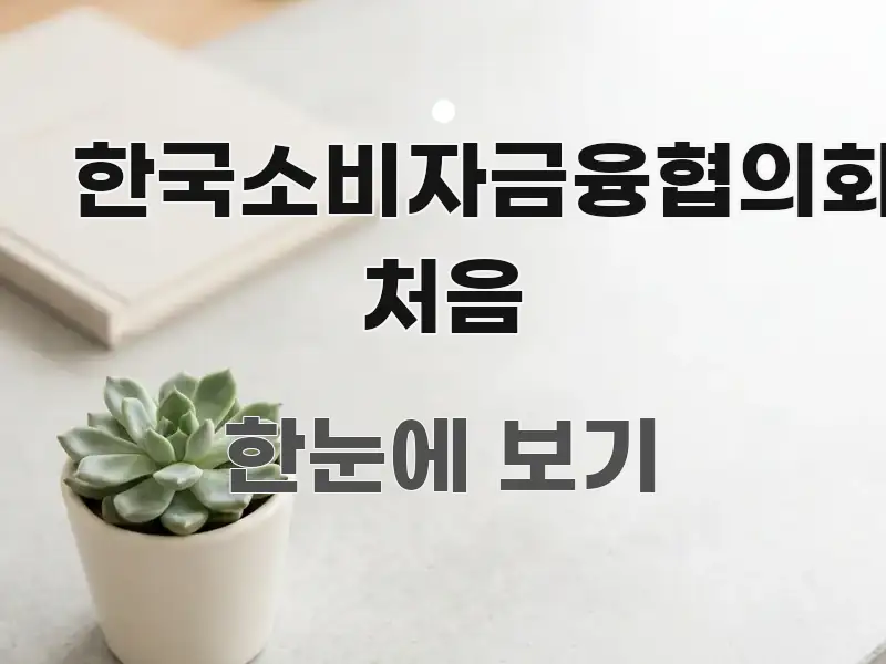 한국소비자금융협의회 처음 흥미롭게 구성한 정보 정리 카드 이미지 - 활용 예시 이미지