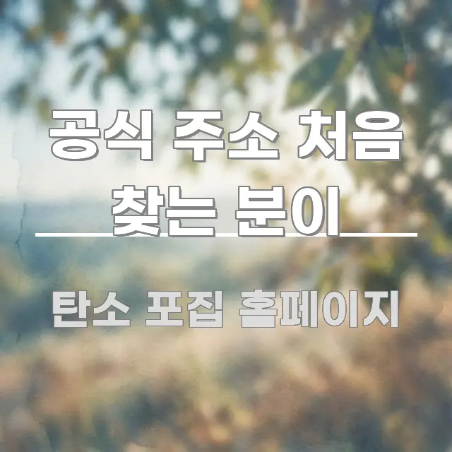공식 주소 처음 찾는 분이 쉽게 읽히는 미니멀 블로그 썸네일