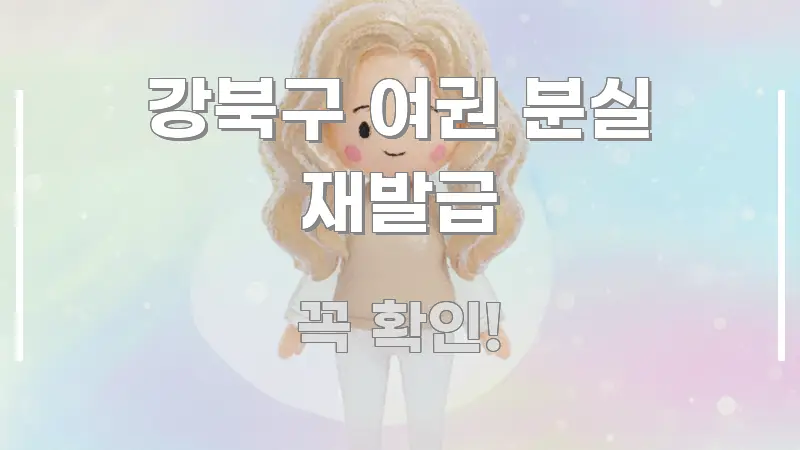 강북구 여권 분실 재발급 한눈에 보기 좋게 요약한 정보 정리 카드 이미지 - 본문 내용과 연관된 이미지