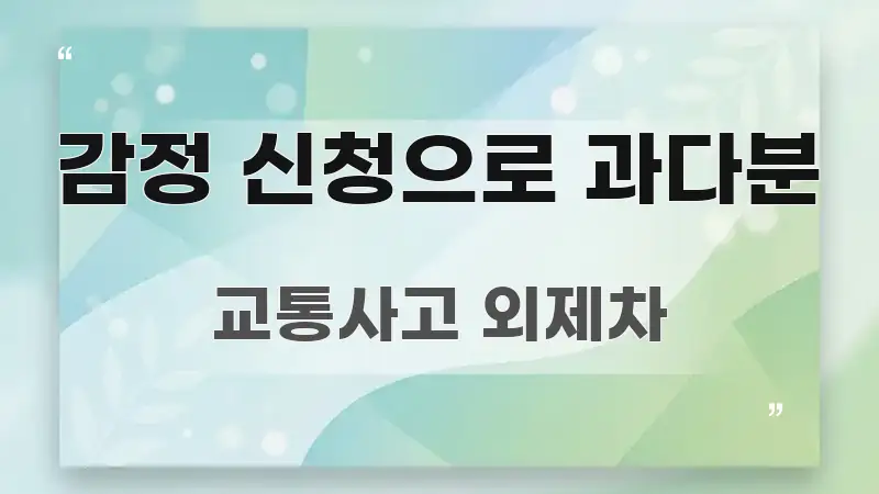 감정 신청으로 과다분 실생활에 도움되는 정보 요약 포스터 - 참고용 이미지