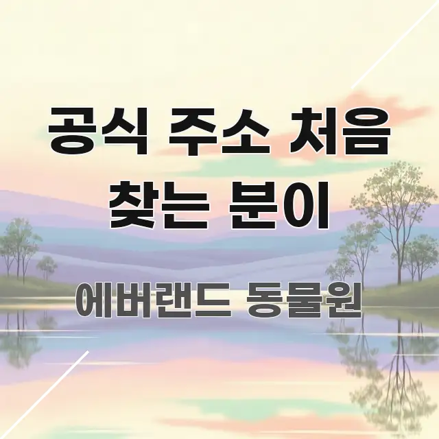 공식 주소 처음 찾는 분이 검증된 정보로 구성된 핵심 정리 썸네일 이미지 - 참고용 이미지