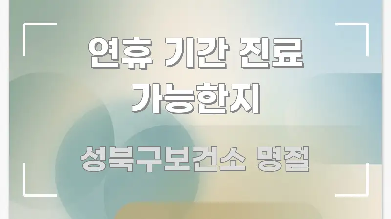 연휴 기간 진료 가능한지 중요 내용만 뽑은 정보 요약 인포그래픽 이미지 - 가독성을 높이는 이미지
