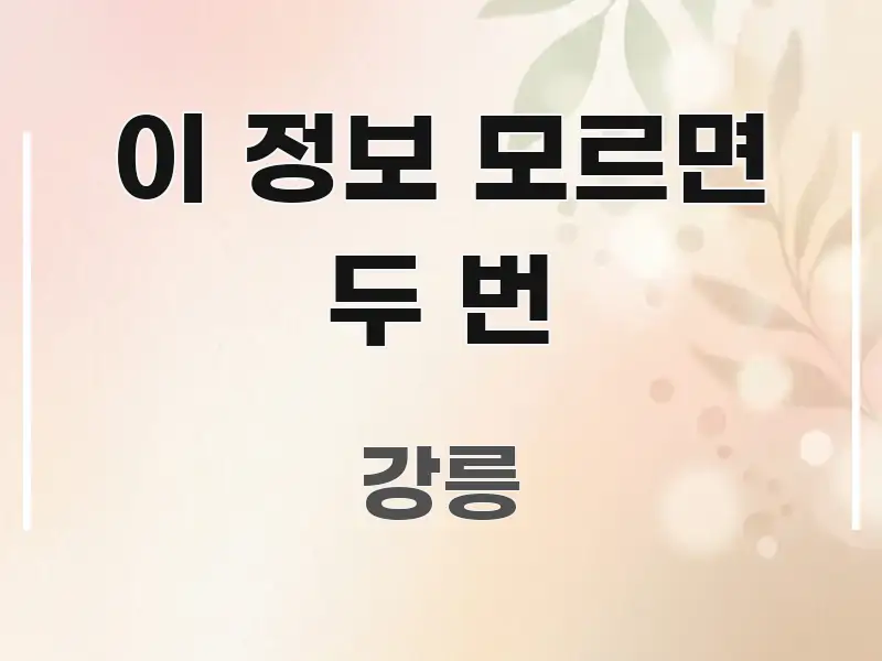 이 정보 모르면 두 번 주요 포인트를 요약한 핵심 정보 비주얼 - 가독성을 높이는 이미지
