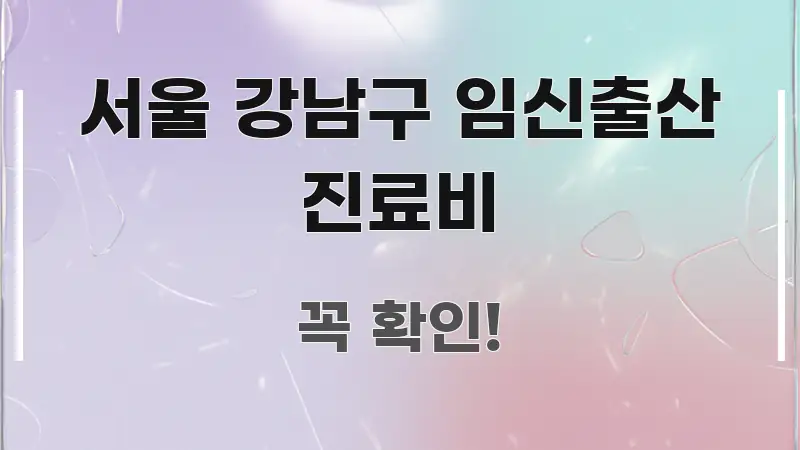 서울 강남구 임신출산 진료비 가독성 높게 정리한 스마트 정보 카드