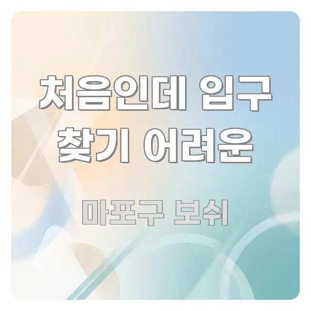 처음인데 입구 찾기 어려운 요점만 뽑아낸 블로그 섹션 구분 이미지 - 가독성을 높이는 이미지