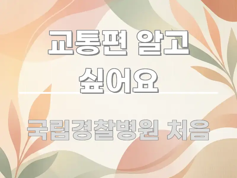 교통편 알고 싶어요 핵심 정보를 압축한 정보 요약 포스터