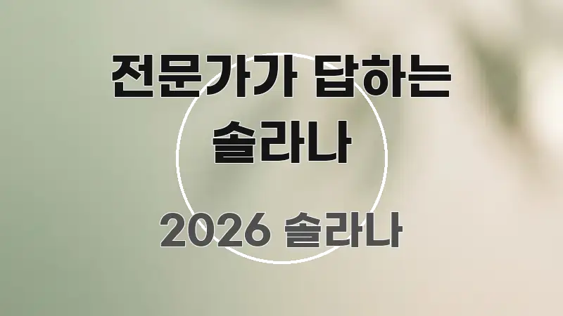 전문가가 답하는 솔라나 한눈에 보기 좋게 요약한 심플 타이포그래피 표지 - 설명을 돕는 이미지