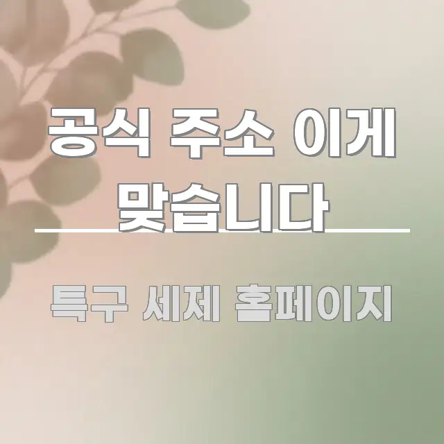 공식 주소 이게 맞습니다 검증된 정보로 구성된 핵심 요약 디자인 카드 - 내용 요약을 위한 이미지