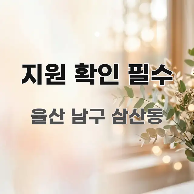 지원 확인 필수 전문적으로 분석한 텍스트 기반 블로그 이미지 - 글 흐름을 돕는 시각 자료