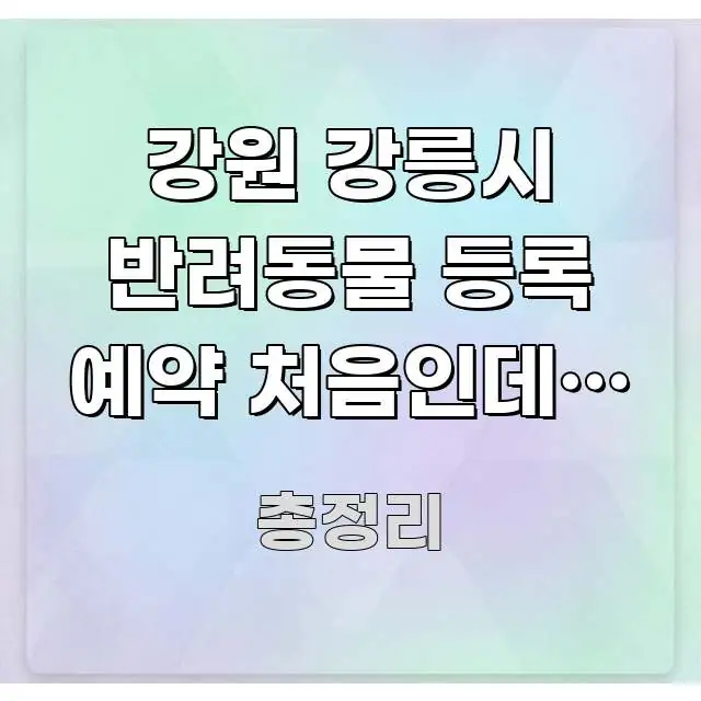강원 강릉시 반려동물 등록 예약 처음인데, 이거 꼭 흥미롭게 구성한 깔끔한 인포그래픽 표지