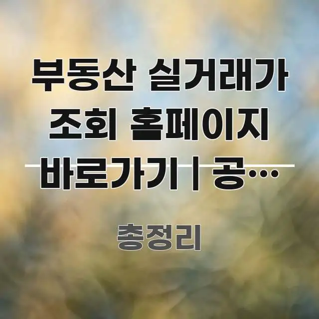 부동산 실거래가 조회 홈페이지 바로가기 | 공식 주소 빠르게 이해할 수 있는 텍스트 포스터 이미지 - 참고용 이미지