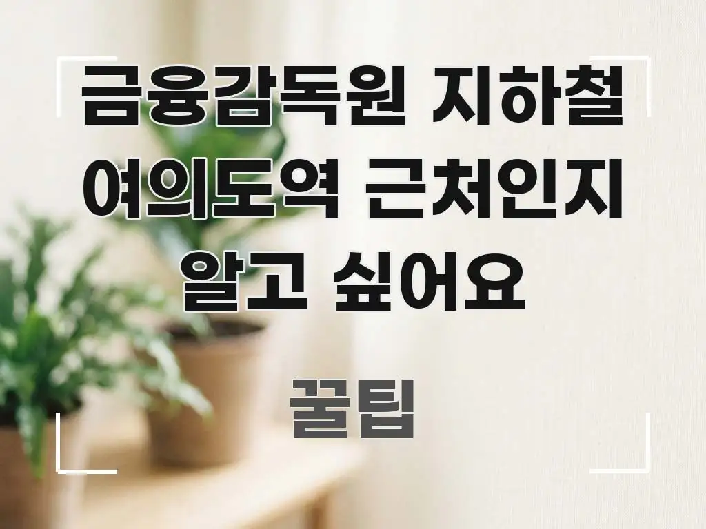 금융감독원 지하철 여의도역 근처인지 알고 싶어요 깔끔하게 정리된 포스트 대표 비주얼 이미지 - 내용 요약을 위한 이미지