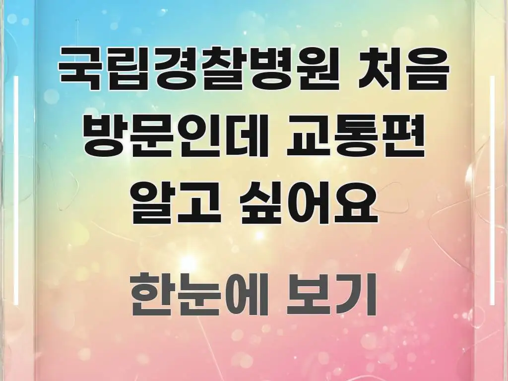 국립경찰병원 처음 방문인데 교통편 알고 싶어요 핵심 정보를 압축한 핵심 정보 비주얼 - 설명을 돕는 이미지