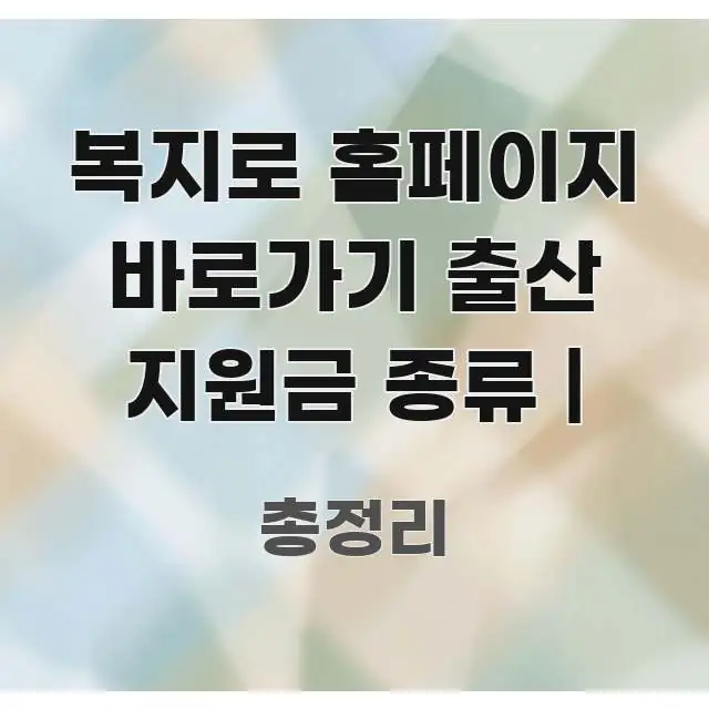 복지로 홈페이지 바로가기 출산 지원금 종류 | 요점만 뽑아낸 깔끔한 인포그래픽 표지 - 글 흐름을 돕는 시각 자료