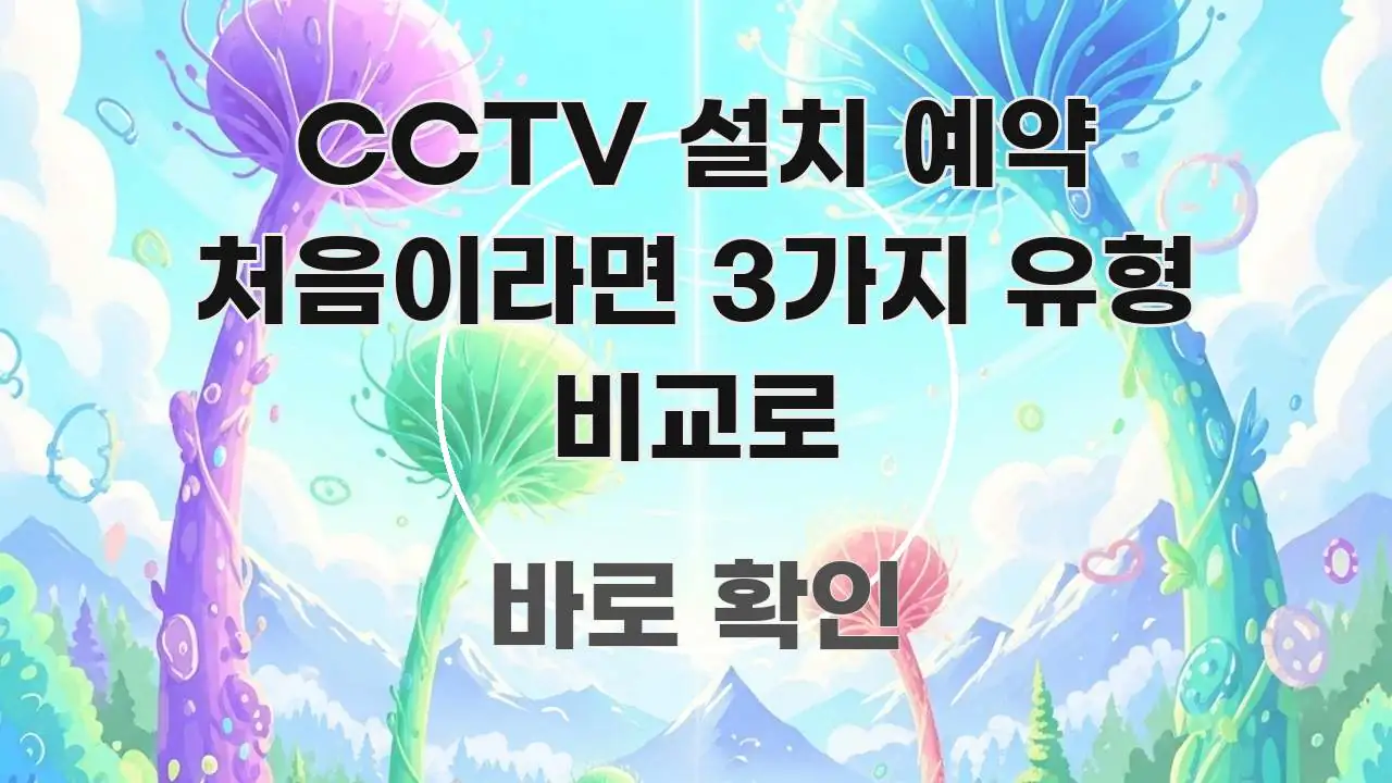 CCTV 설치 예약 처음이라면 3가지 유형 비교로 핵심 정보 중심의 블로그 섹션 구분 이미지 - 독자 이해를 위한 이미지