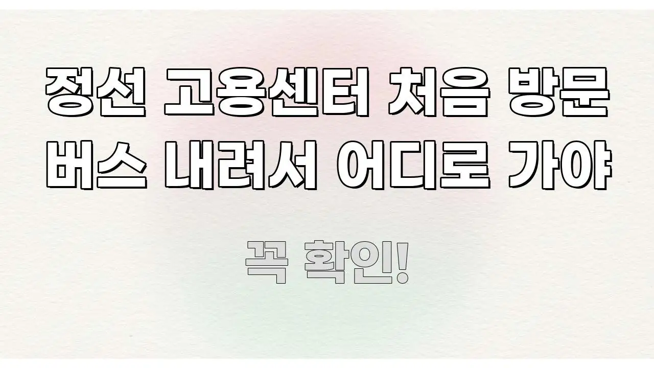 정선 고용센터 처음 방문 버스 내려서 어디로 가야 꼭 필요한 정보만 담은 콘텐츠 요약 표지 이미지 - 설명을 돕는 이미지