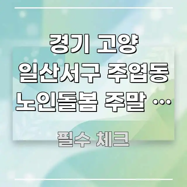경기 고양 일산서구 주엽동 노인돌봄 주말 | 주말에도 간결하고 명료한 정보 요약 포스터 - 독자 이해를 위한 이미지