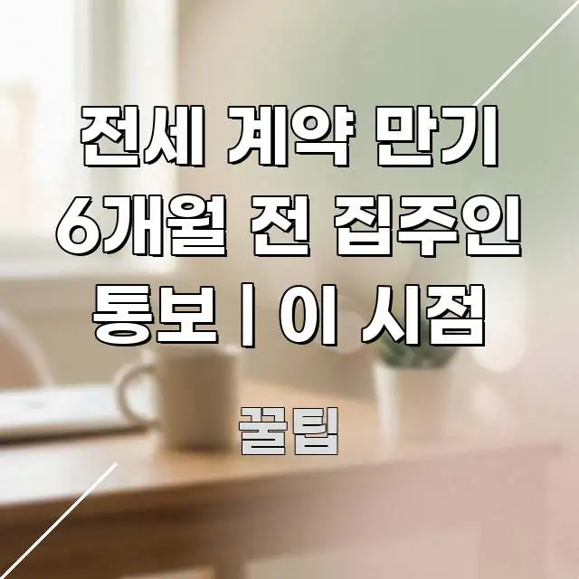 전세 계약 만기 6개월 전 집주인 통보 | 이 시점 깔끔하게 정리된 정보 정리 카드 이미지 - 독자 이해를 위한 이미지