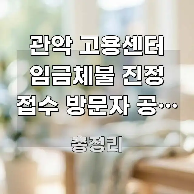 관악 고용센터 임금체불 진정 접수 방문자 공통 문제 꼭 알아야 할 정보를 담은 읽기 좋은 정보 카드 - 참고용 이미지