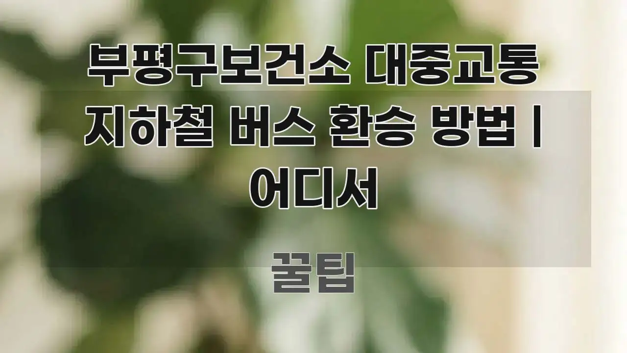 부평구보건소 대중교통 지하철 버스 환승 방법 | 어디서 검증된 정보로 구성된 텍스트 중심 디자인 표지 - 참고용 이미지