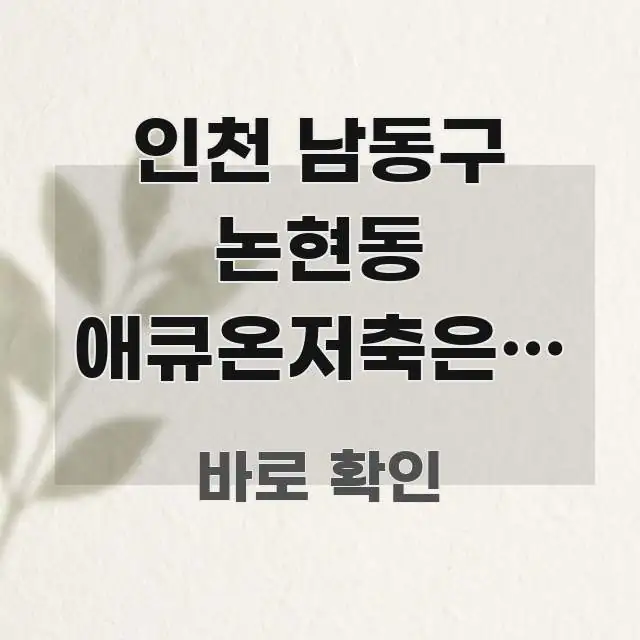 인천 남동구 논현동 애큐온저축은행 중금리대출 직장인 주요 흐름을 설명한 핵심 요약 디자인 카드