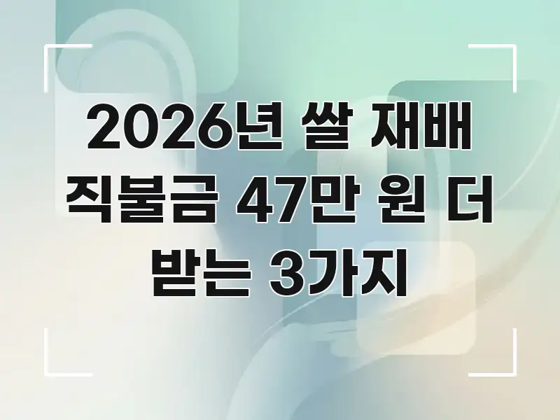 2026년 쌀 재배 직불금 47만 원 더 받는 3가지 독자를 위해 선별한 모던 카드뉴스 디자인
