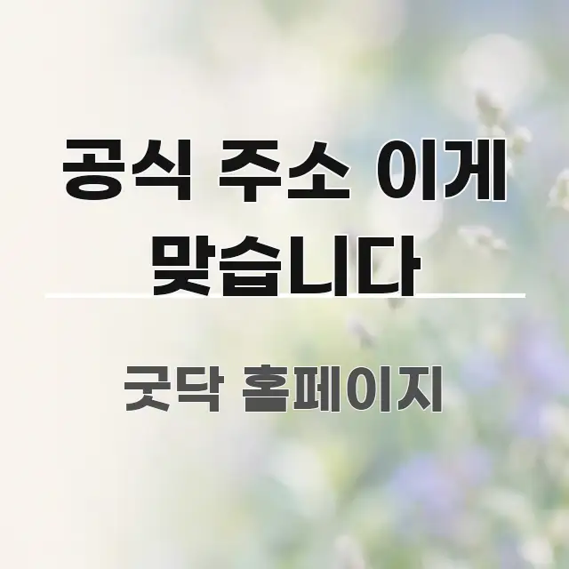 공식 주소 이게 맞습니다 깔끔하게 정리된 블로그 헤더 이미지 - 가독성을 높이는 이미지