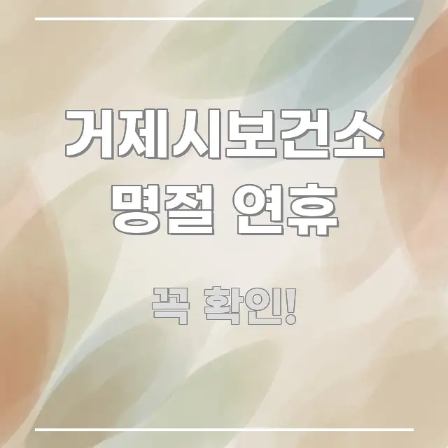 거제시보건소 명절 연휴 핵심 내용을 정리한 핵심 정보 비주얼 - 설명을 돕는 이미지