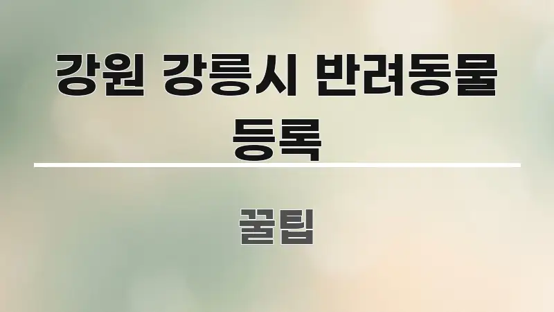 강원 강릉시 반려동물 등록 핵심 정보 중심의 블로그 헤더 이미지