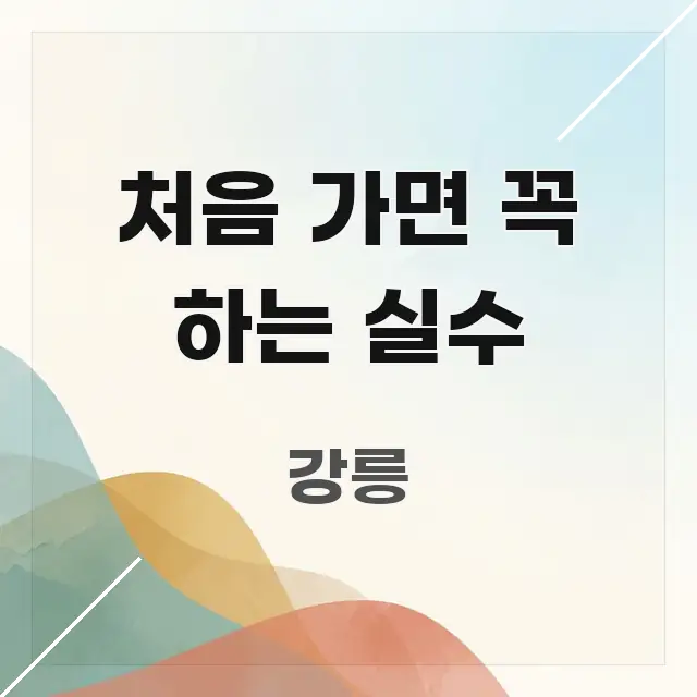 처음 가면 꼭 하는 실수 핵심 정보 중심의 블로그 섹션 구분 이미지 - 활용 예시 이미지