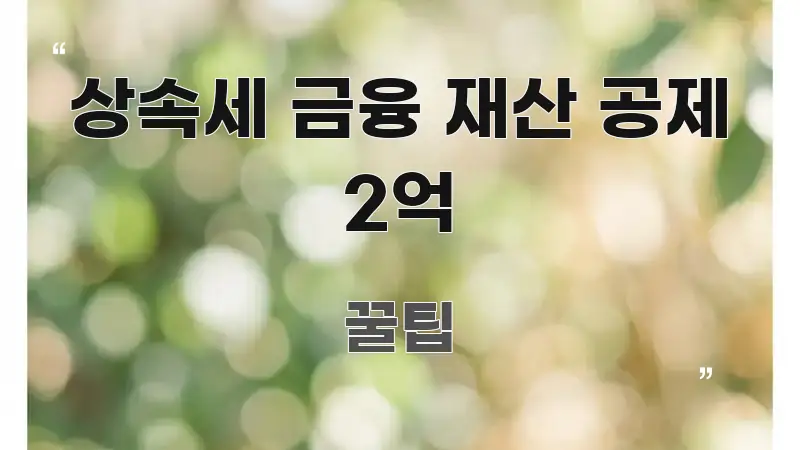 상속세 금융 재산 공제 2억 전문적으로 분석한 깔끔한 인포그래픽 표지 - 활용 예시 이미지