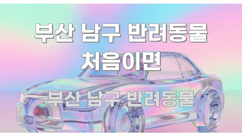 부산 남구 반려동물 처음이면 핵심 정보를 압축한 카드뉴스 스타일 이미지 - 독자 이해를 위한 이미지