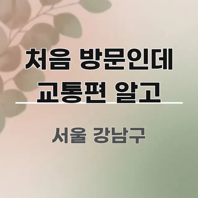 처음 방문인데 교통편 알고 한눈에 보기 좋게 요약한 가독성 높은 정보 이미지 - 참고용 이미지