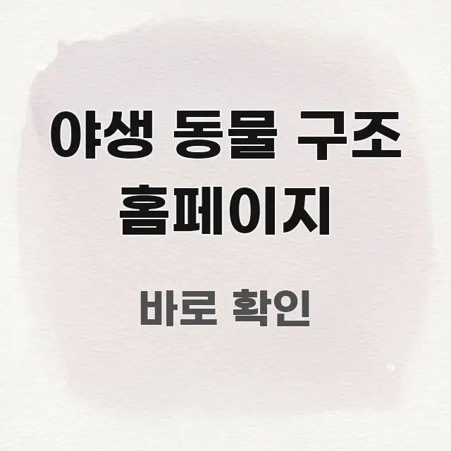 야생 동물 구조 홈페이지 흥미롭게 구성한 정보 정리 카드 이미지 - 활용 예시 이미지