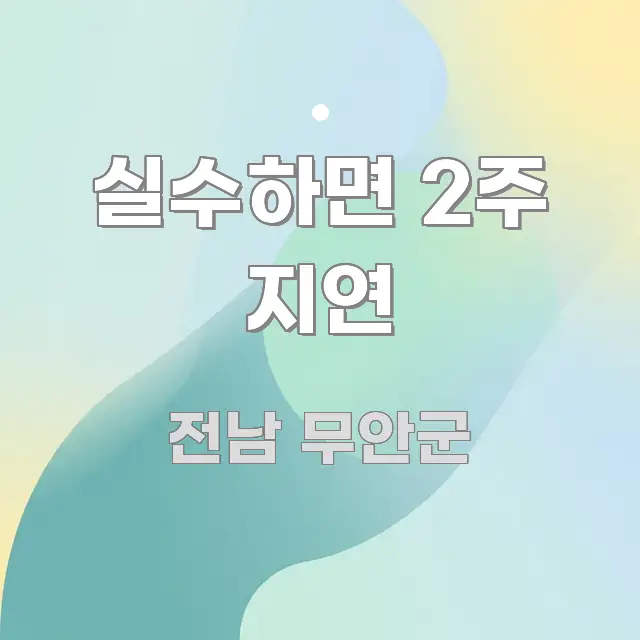 실수하면 2주 지연 이해하기 쉬운 정보 전달형 표지 이미지 - 가독성을 높이는 이미지