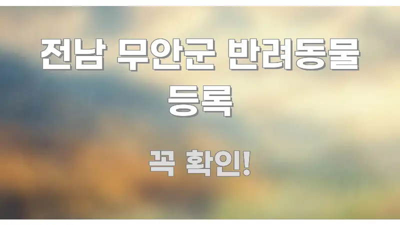 전남 무안군 반려동물 등록 주요 포인트를 요약한 모던 카드뉴스 디자인 - 독자 이해를 위한 이미지