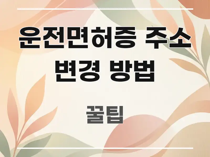 운전면허증 주소 변경 방법 쉽게 읽히는 스마트 정보 카드 - 본문 내용과 연관된 이미지