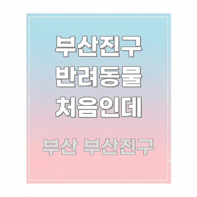 부산진구 반려동물 처음인데 꼭 필요한 정보만 담은 읽기 좋은 정보 카드 - 본문 내용과 연관된 이미지