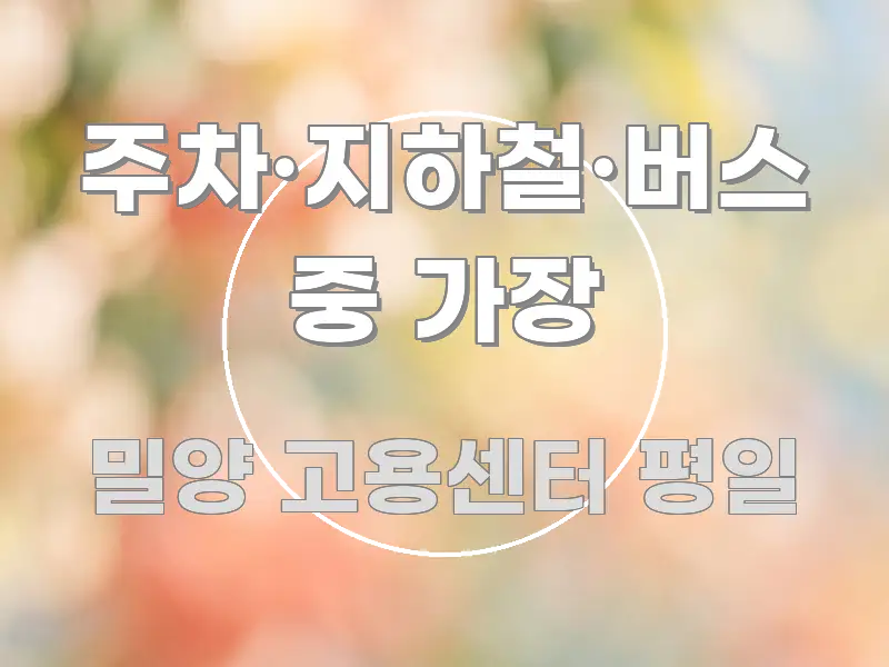 주차·지하철·버스 중 가장 알기 쉽게 정리한 블로그 섹션 구분 이미지 - 본문 내용과 연관된 이미지