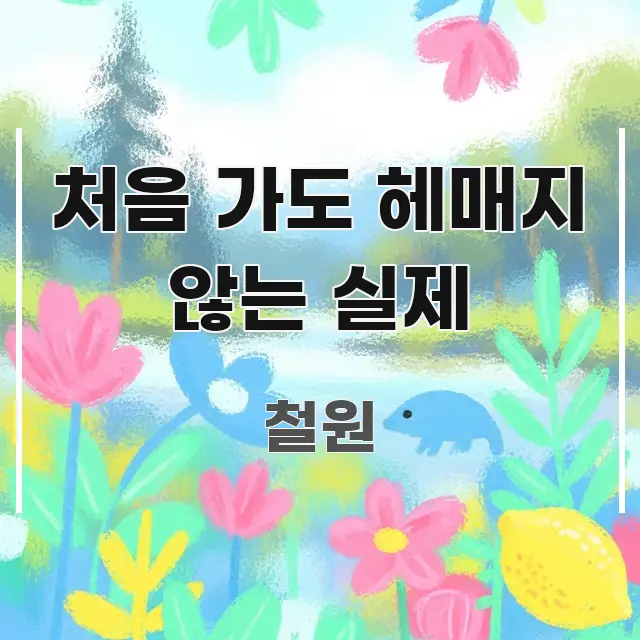 처음 가도 헤매지 않는 실제 주요 흐름을 설명한 읽기 좋은 정보 카드 - 가독성을 높이는 이미지