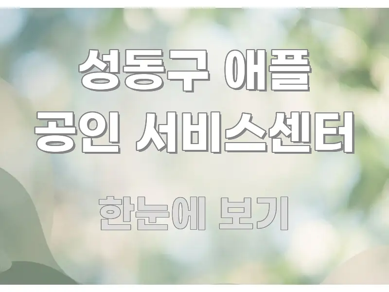 성동구 애플 공인 서비스센터 깔끔하게 정리된 블로그용 카드뉴스 썸네일