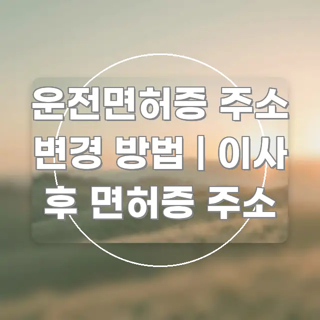 운전면허증 주소 변경 방법 | 이사 후 면허증 주소 흥미롭게 구성한 심플 타이포그래피 표지 - 본문 내용과 연관된 이미지