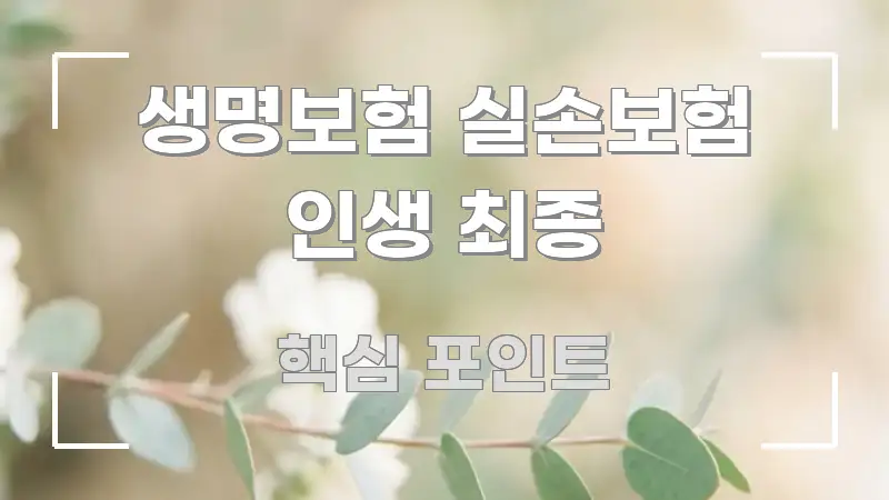 생명보험 실손보험 인생 최종 깔끔하게 정리된 가독성 높은 정보 이미지 - 본문 내용과 연관된 이미지