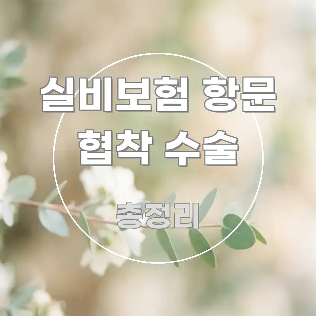 실비보험 항문 협착 수술 신뢰할 수 있는 정보를 담은 심플 타이포그래피 표지 - 글 흐름을 돕는 시각 자료