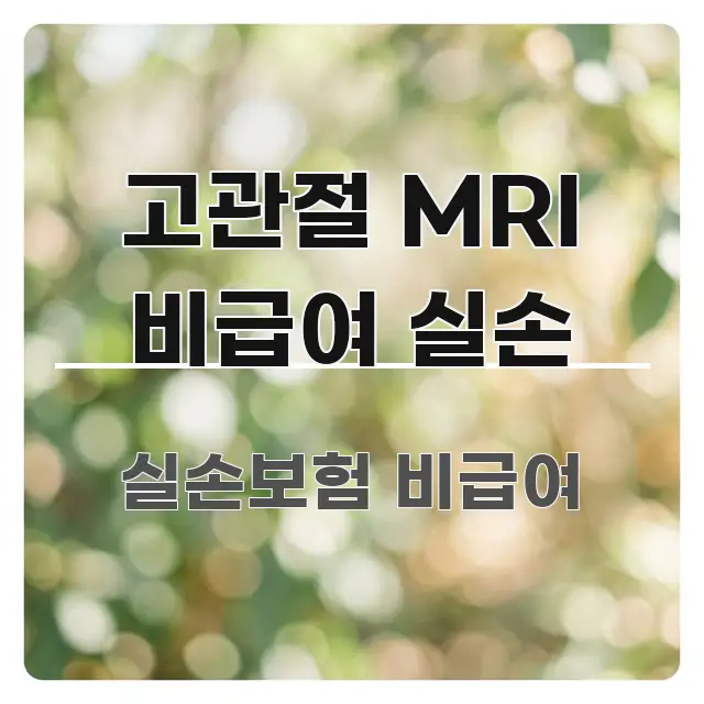 고관절 MRI 비급여 실손 핵심 요약 고관절 MRI 비급여 실손 명확하게 정리된 핵심 정리 썸네일 이미지 - 가독성을 높이는 이미지