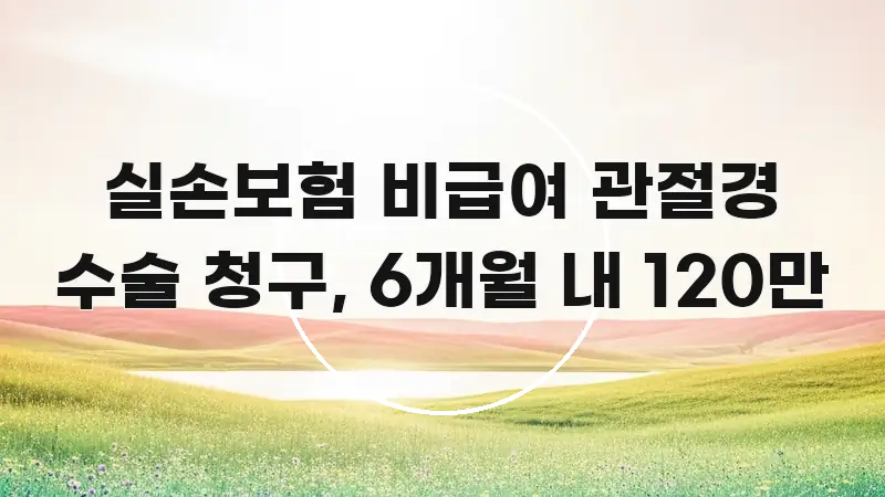실손보험 비급여 관절경 수술 청구, 6개월 내 120만 한눈에 보기 좋게 요약한 카드뉴스 스타일 이미지 - 가독성을 높이는 이미지