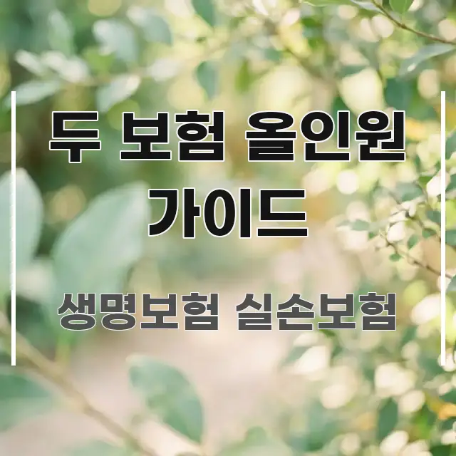 두 보험 올인원 가이드 핵심 요약 두 보험 올인원 가이드 핵심 요점 중심의 읽기 좋은 정보 카드